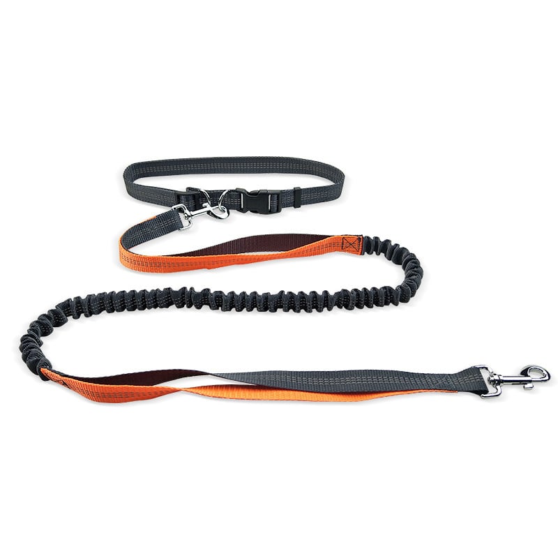 Ceinture de promenade pour chien avec laisse antichoc détachable