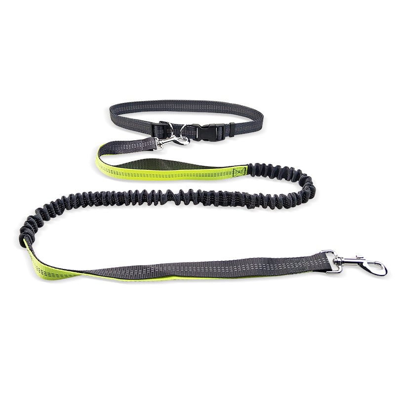 Ceinture de promenade pour chien avec laisse antichoc détachable