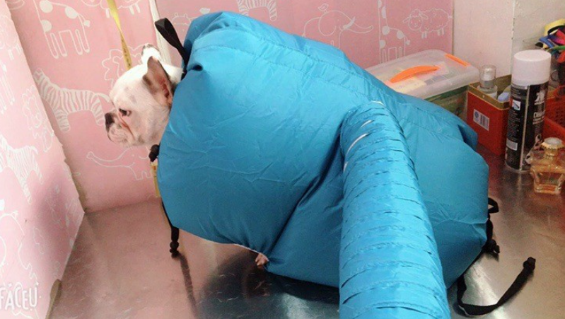 Boîte de séchage pour animaux, Séchoir, et Sac de séchage