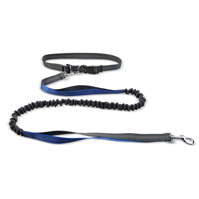 Ceinture de promenade pour chien avec laisse antichoc détachable